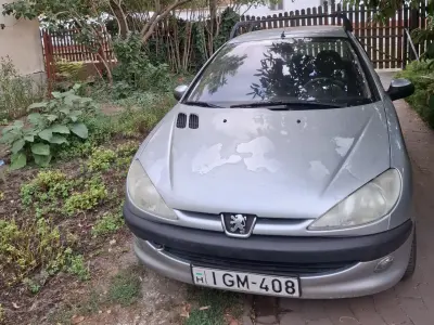 Peugeot 206 Husky