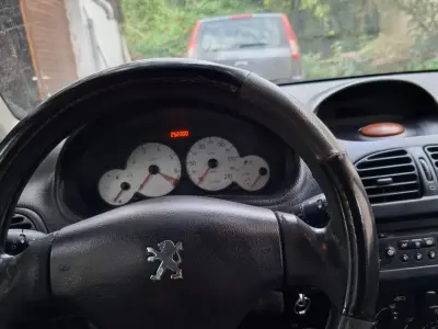 Peugeot 206 2002 (miniatűr)