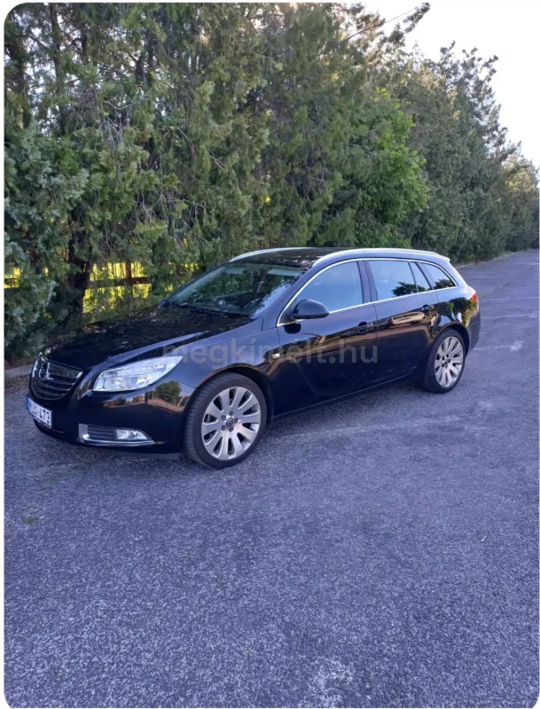 Opel Insignia 2013