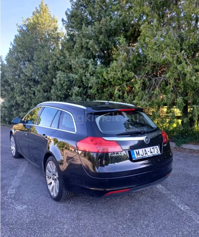 Opel Insignia 2013