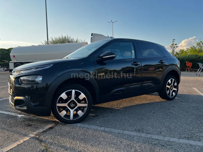 Citroën C4 Cactus 2019