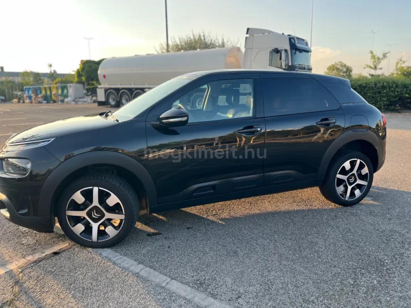 Citroën C4 Cactus 2019