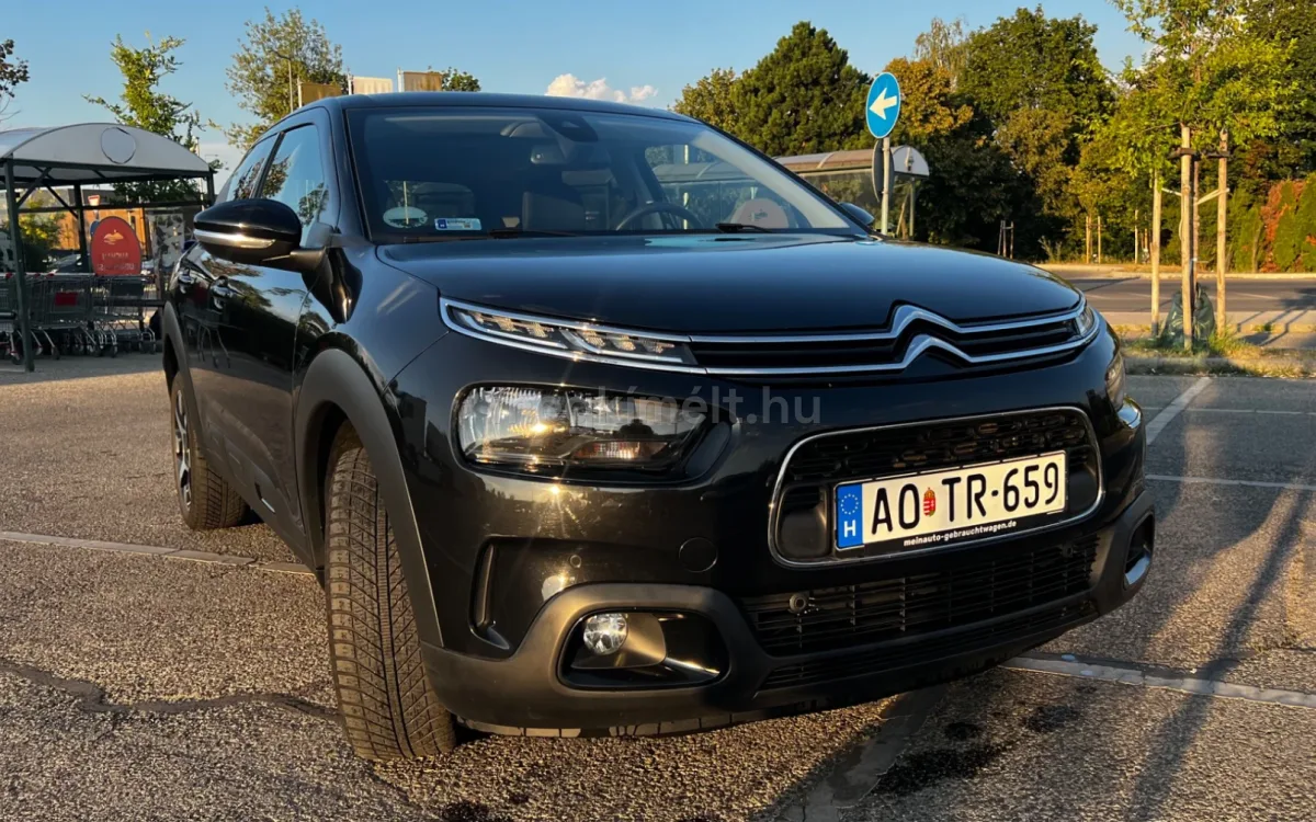 Citroën C4 Cactus 2019