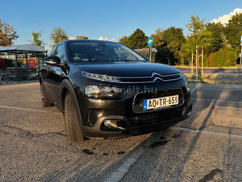 Citroën C4 Cactus 2019