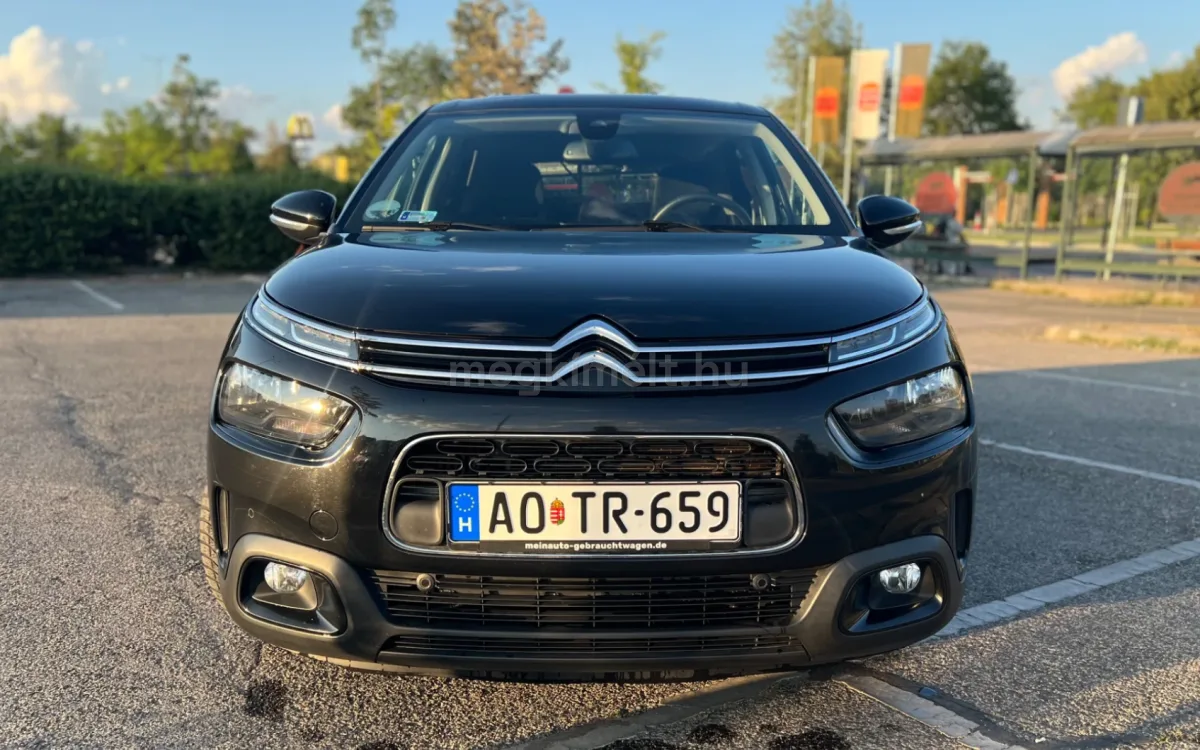 Citroën C4 Cactus 2019