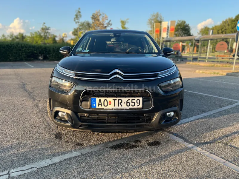 Citroën C4 Cactus 2019