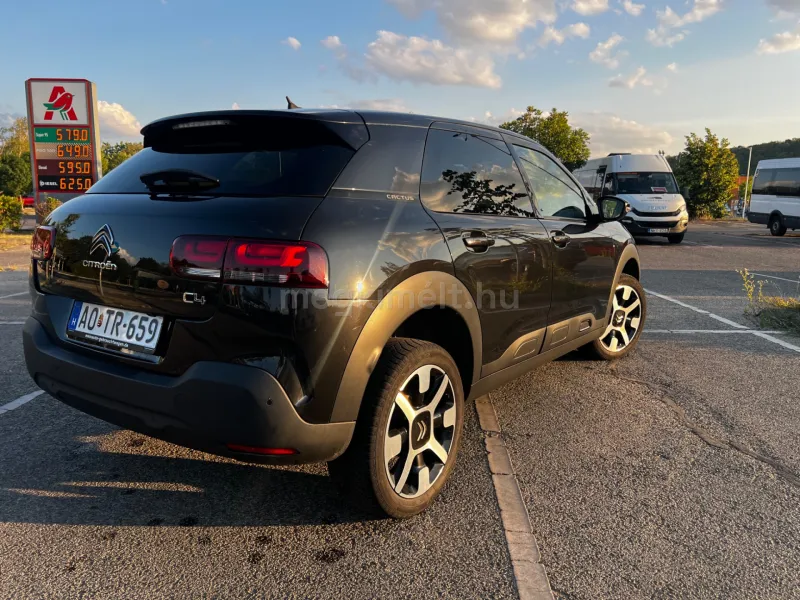 Citroën C4 Cactus 2019