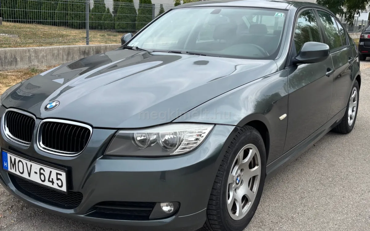 BMW 316 2009