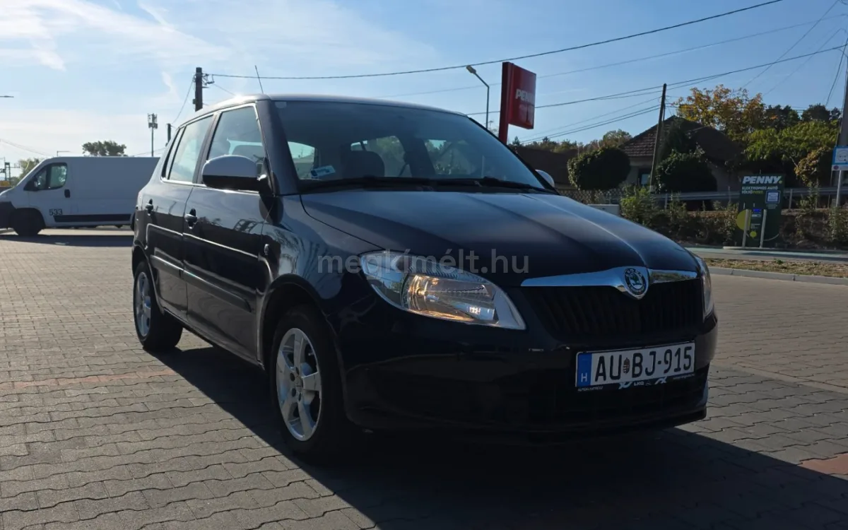 Skoda Fabia 2010