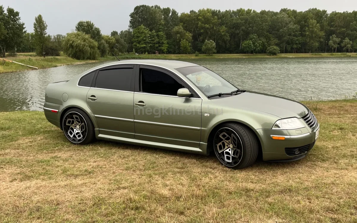Volkswagen Passat 2002