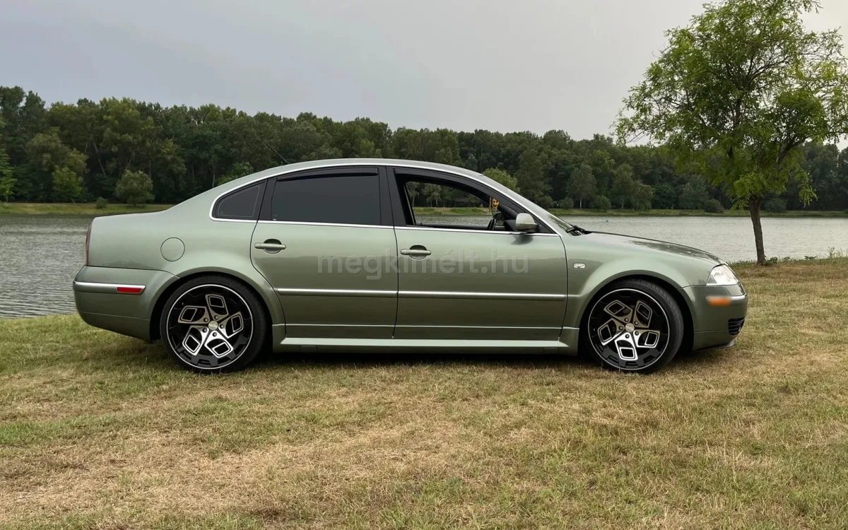 Volkswagen Passat 2002