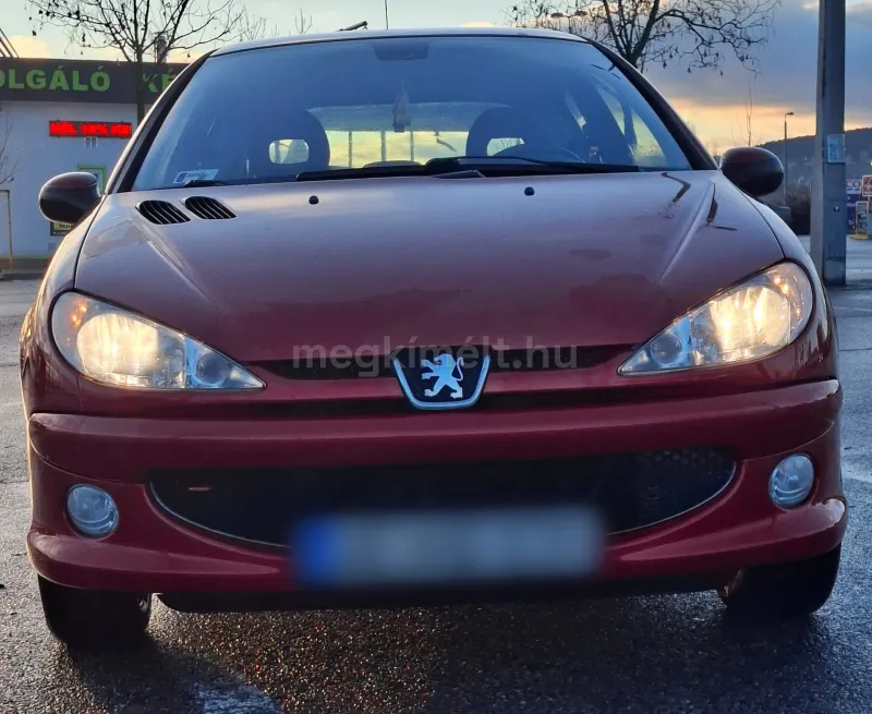 Peugeot 206 2004