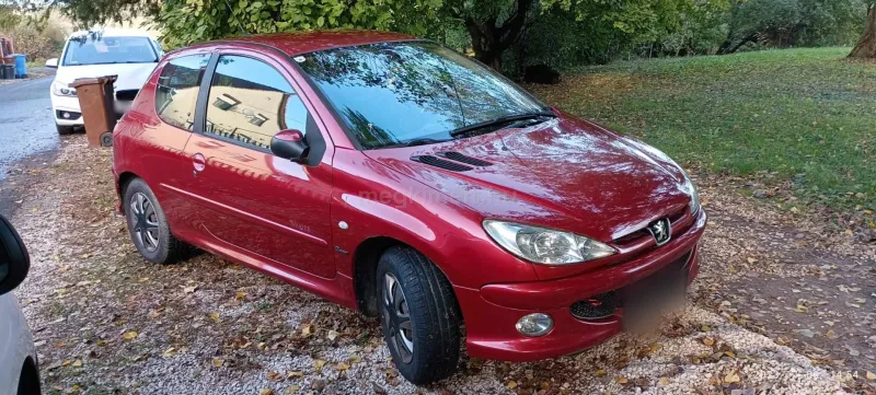 Peugeot 206 2004