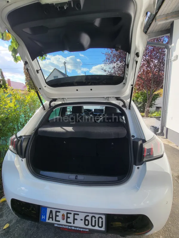 Peugeot 208 2019