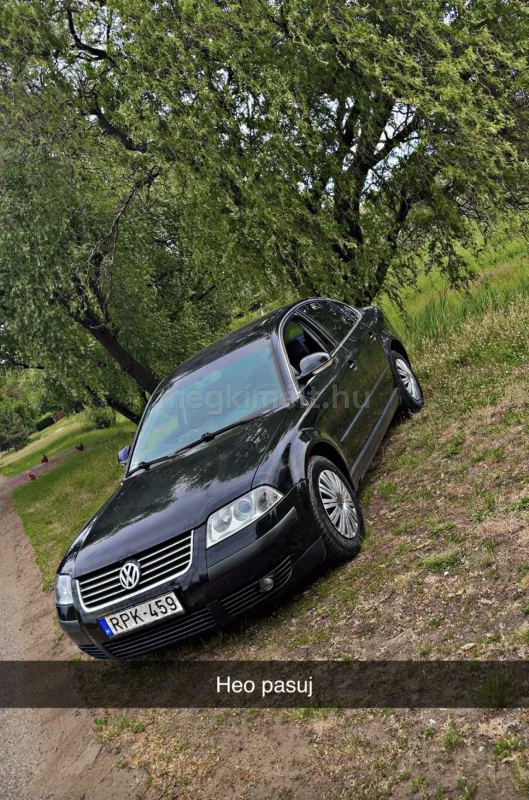 Volkswagen Passat 2004