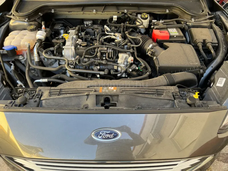 Ford Focus 2021