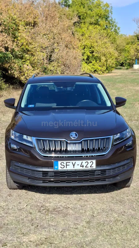 Skoda Kodiaq 2020
