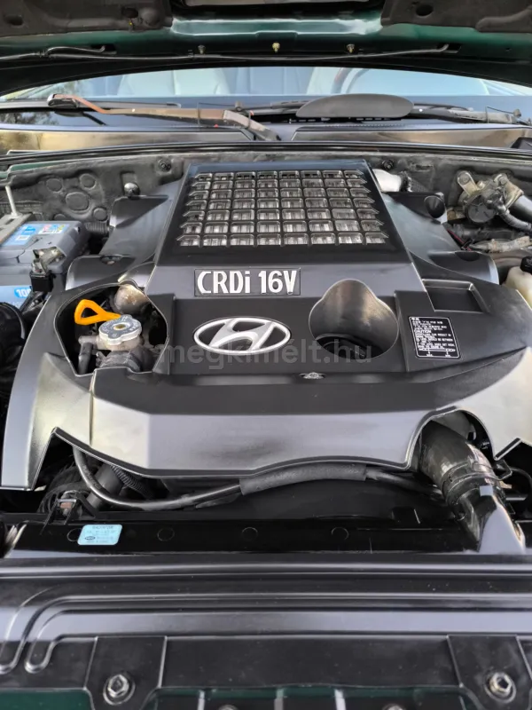 Hyundai Terracan 2005