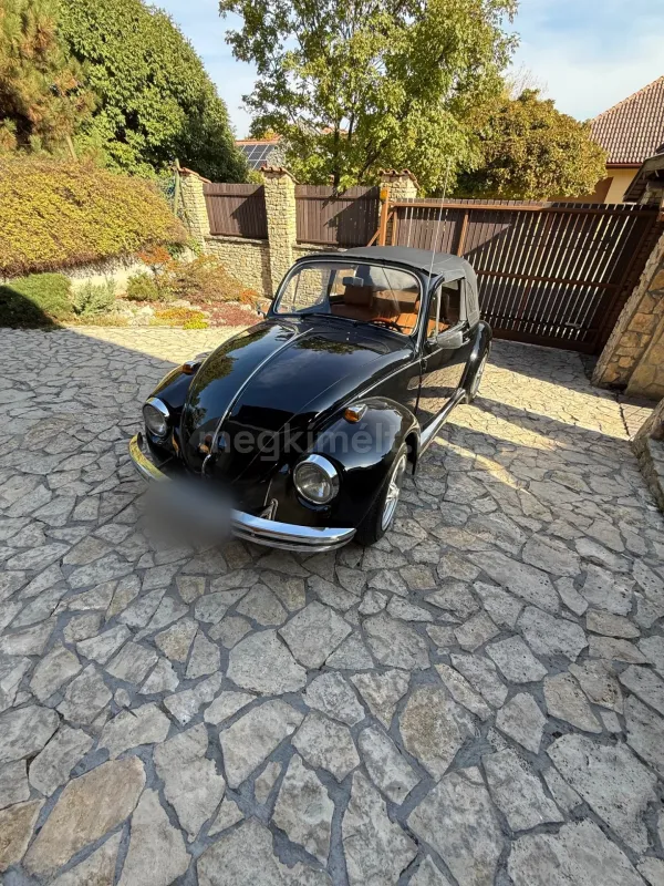 Volkswagen Egyéb 1971