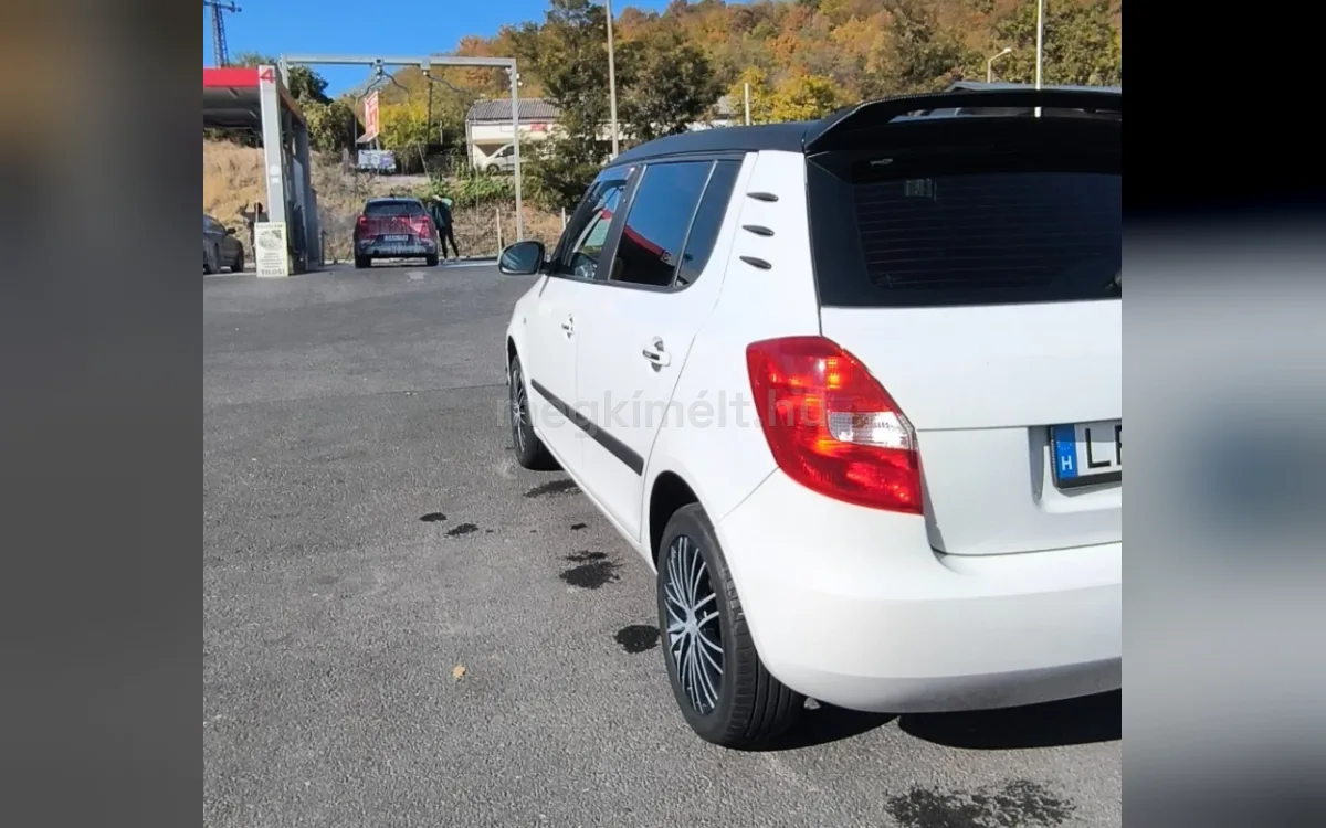 Skoda Fabia 2010
