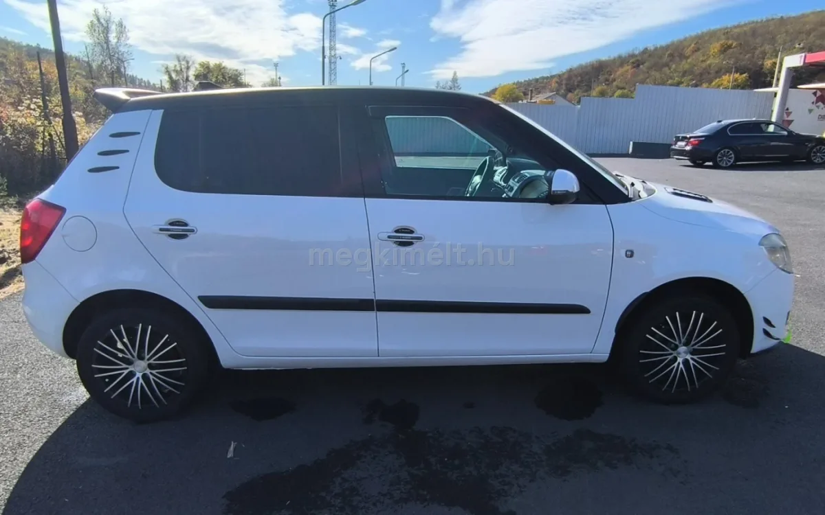 Skoda Fabia 2010