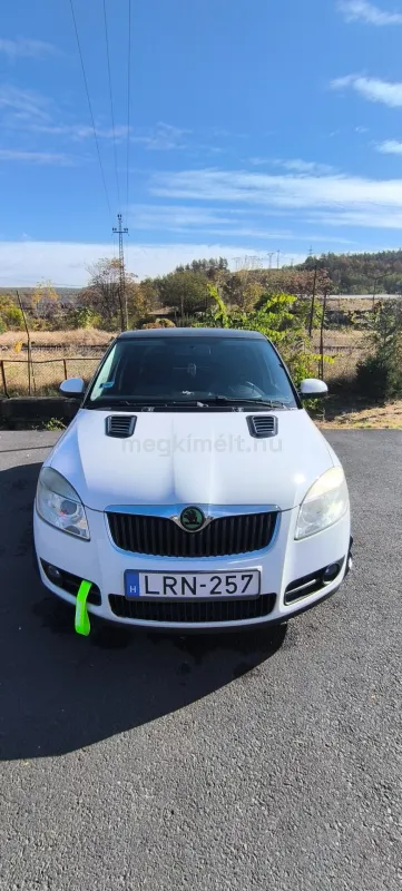 Skoda Fabia 2010