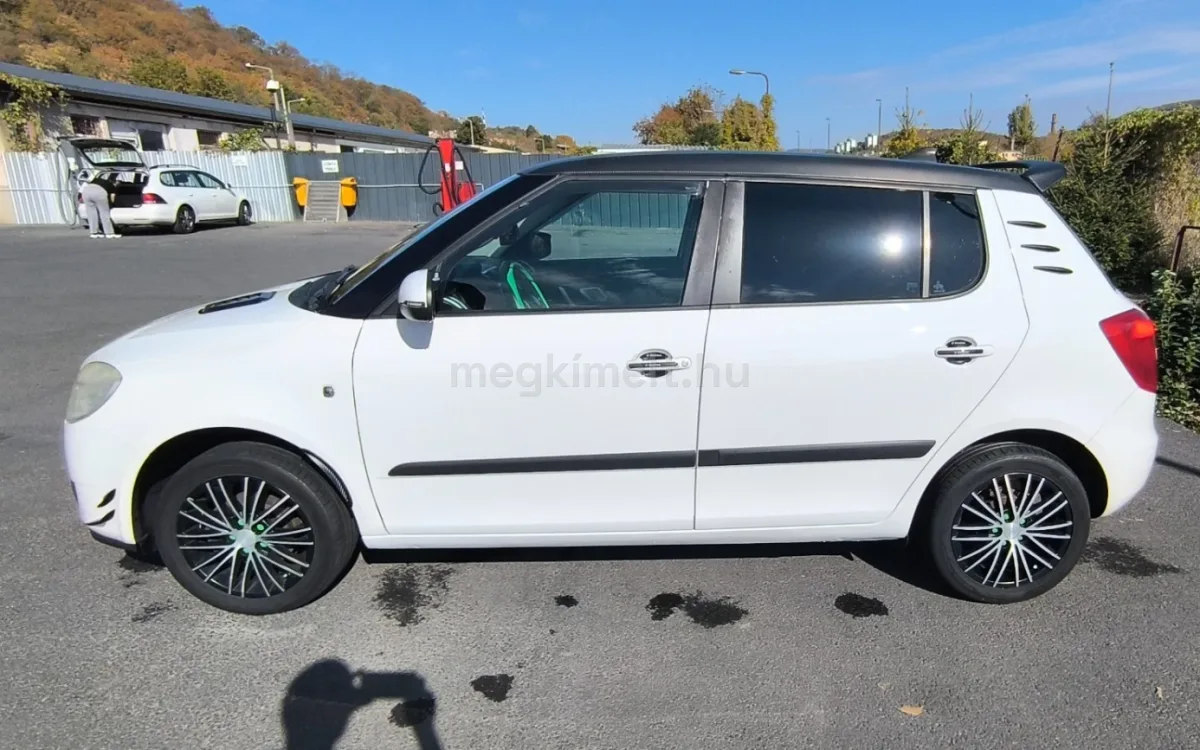 Skoda Fabia 2010