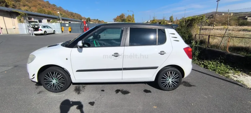 Skoda Fabia 2010