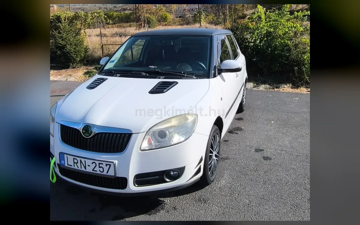 Skoda Fabia 2010