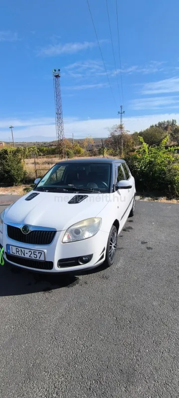 Skoda Fabia 2010