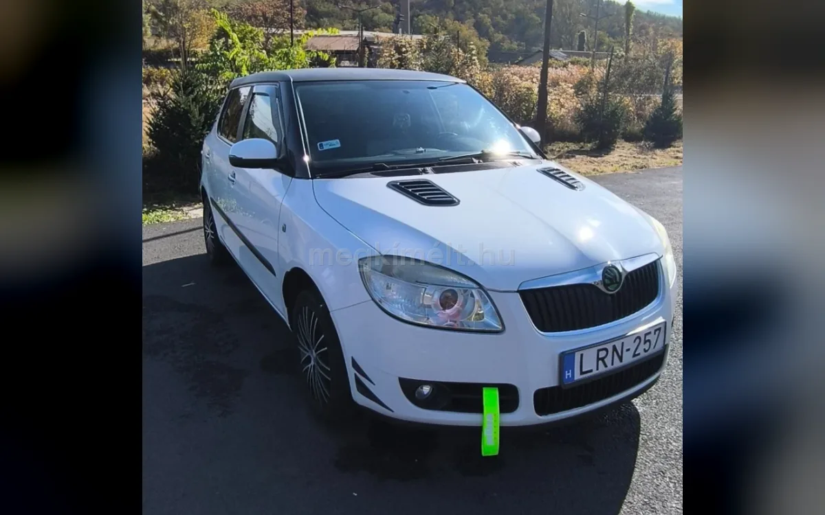 Skoda Fabia 2010