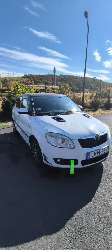 Skoda Fabia 2010
