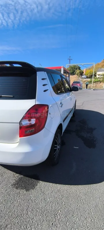 Skoda Fabia 2010