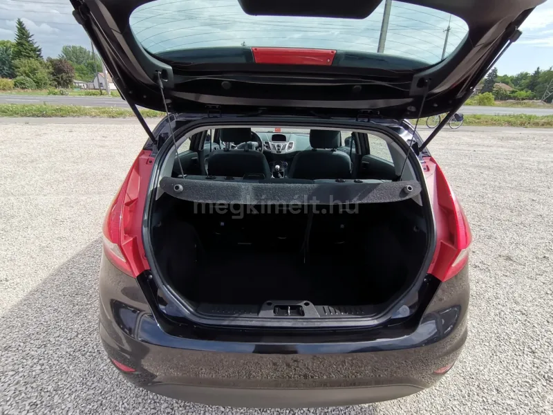 Ford Fiesta 2009