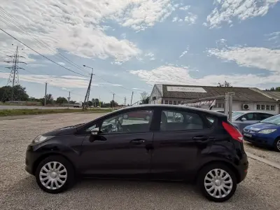 Ford Fiesta 2009 (miniatűr)