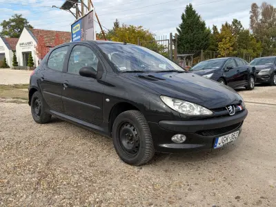 Peugeot 206 2004 (miniatűr)