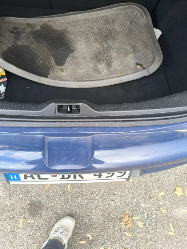 Renault Megane 2010