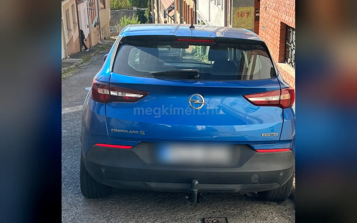 Opel Crossland (X) 2020