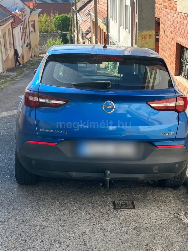 Opel Crossland (X) 2020