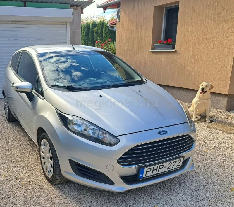 Ford Fiesta 2013