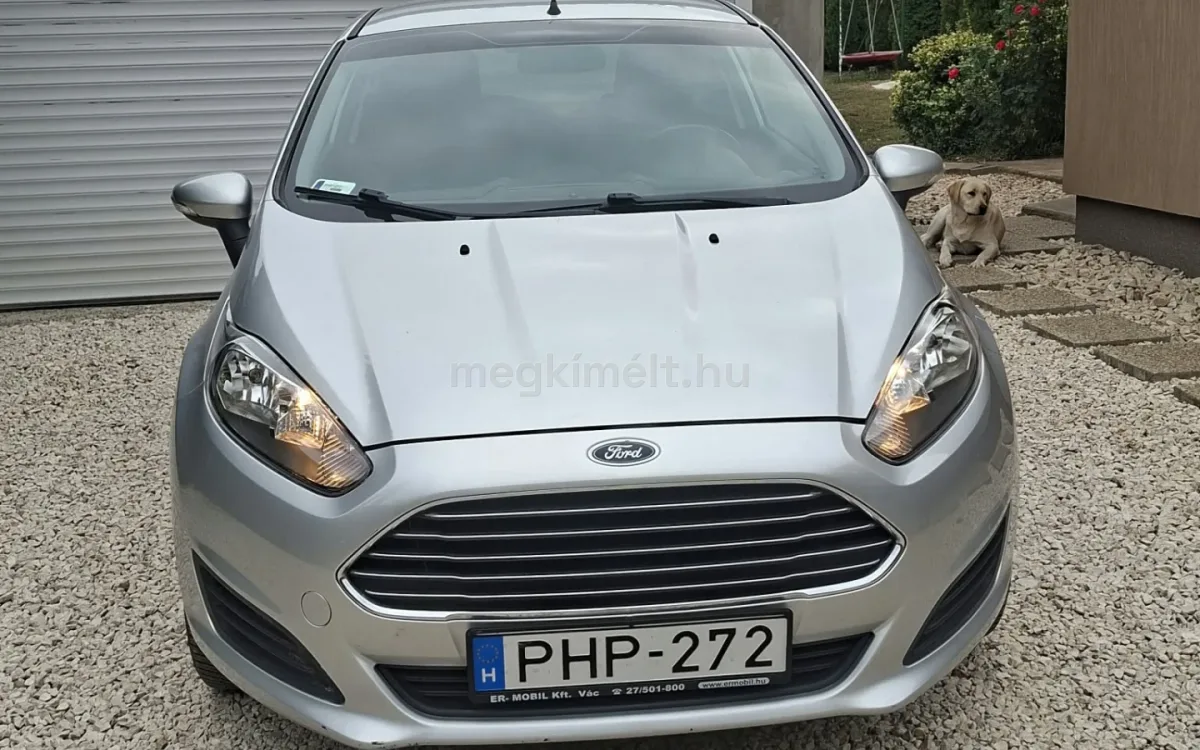 Ford Fiesta 2013