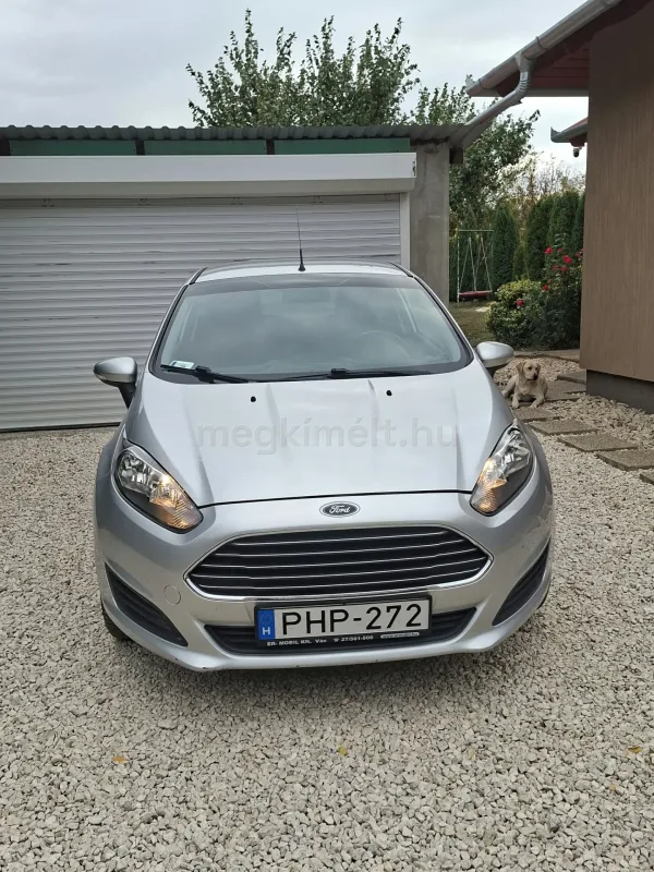 Ford Fiesta 2013