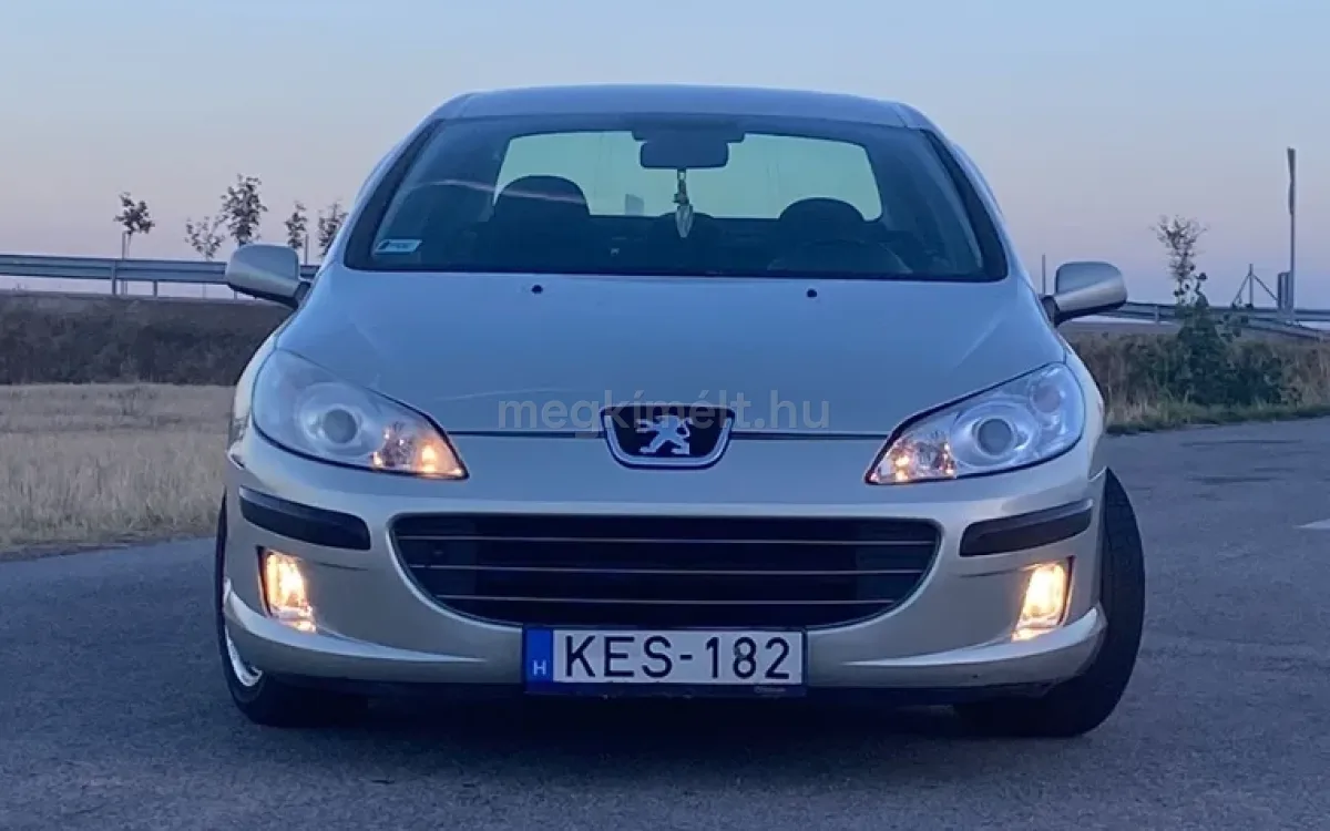 Peugeot 407 2006