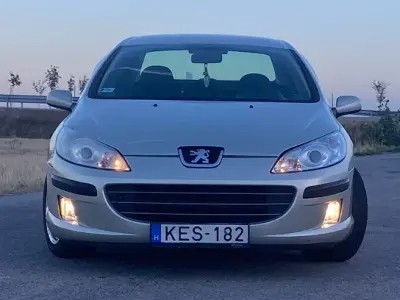 Peugeot 407 2006 (miniatűr)