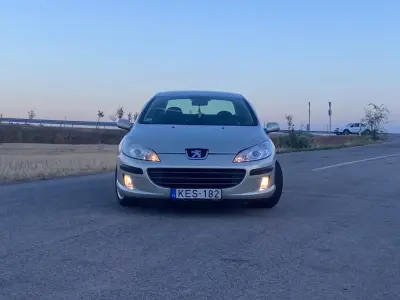 Peugeot 407 2006 (miniatűr)
