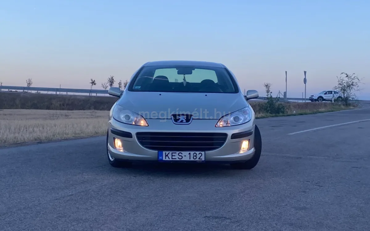 Peugeot 407 2006