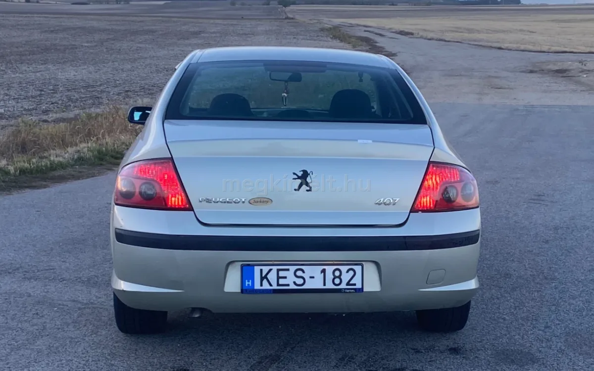 Peugeot 407 2006