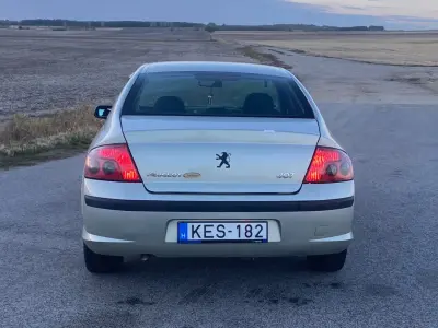 Peugeot 407 2006 (miniatűr)