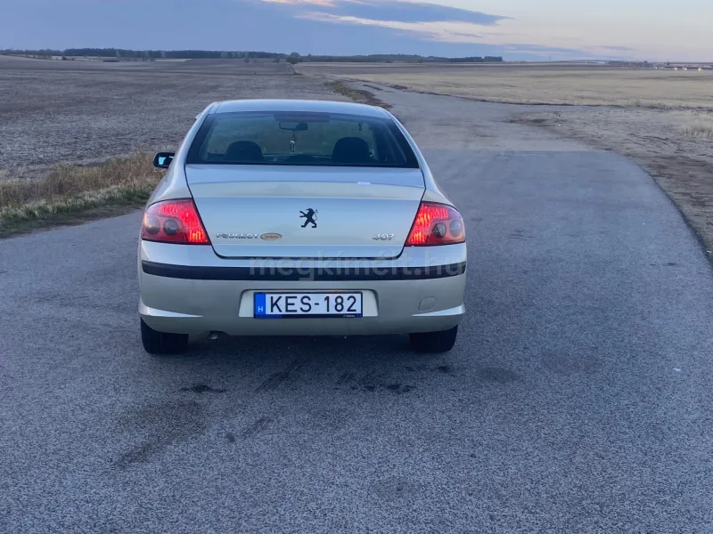 Peugeot 407 2006