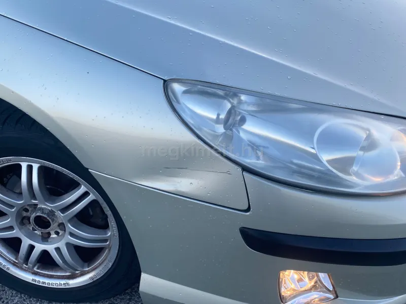 Peugeot 407 2006